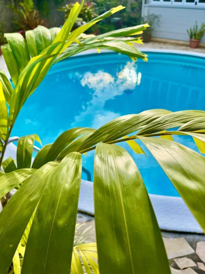 Tiaki Guesthouse - Cozy Modern Studio - 5Min Drive From The Beach And Punaauia Center Eksteriør bilde